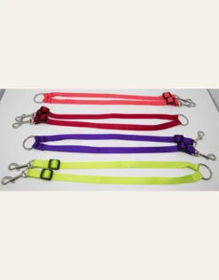 4 Paws Market 2 Dog Leash