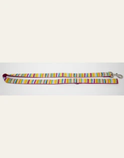 4 Paws Market Rainbow Leash