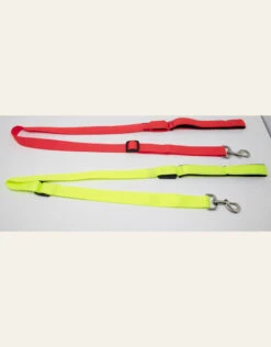 4 Paws Market USB Flashing Leash