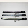 4 Paws Market USB Flashing Paws Leash
