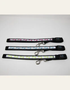 4 Paws Market USB Flashing Paws Leash