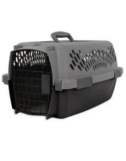 Aspen Pet Pet Porter 19" Gray