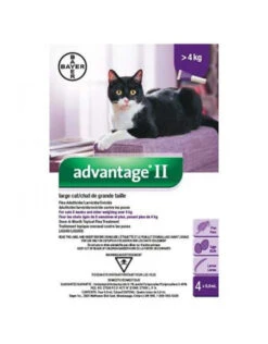 Bayer Advantage II Flea Protection -Quality Pet Supply Store bayer advantage ii flea protection 2