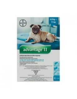Bayer Advantage II Flea+Lice Protection 8 Bayer Advantage II Flea+Lice Protection -Quality Pet Supply Store bayer advantage ii flealice protection 2