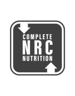 Big Country Raw Turkey, Sardine, Beef 4 X 1/2lb -Quality Pet Supply Store big country raw turkey sardine beef 4 x 1 2lb 1