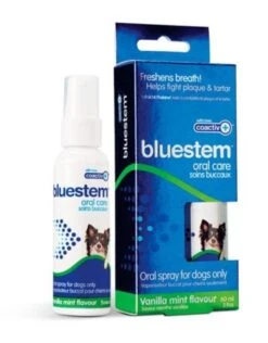 Bluestem Oral Care - Spray
