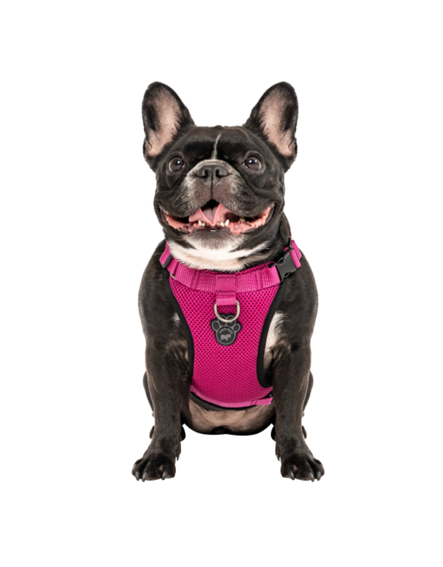 Canada Pooch Everything Harness Mesh 4 Canada Pooch Everything Harness Mesh - Image 2