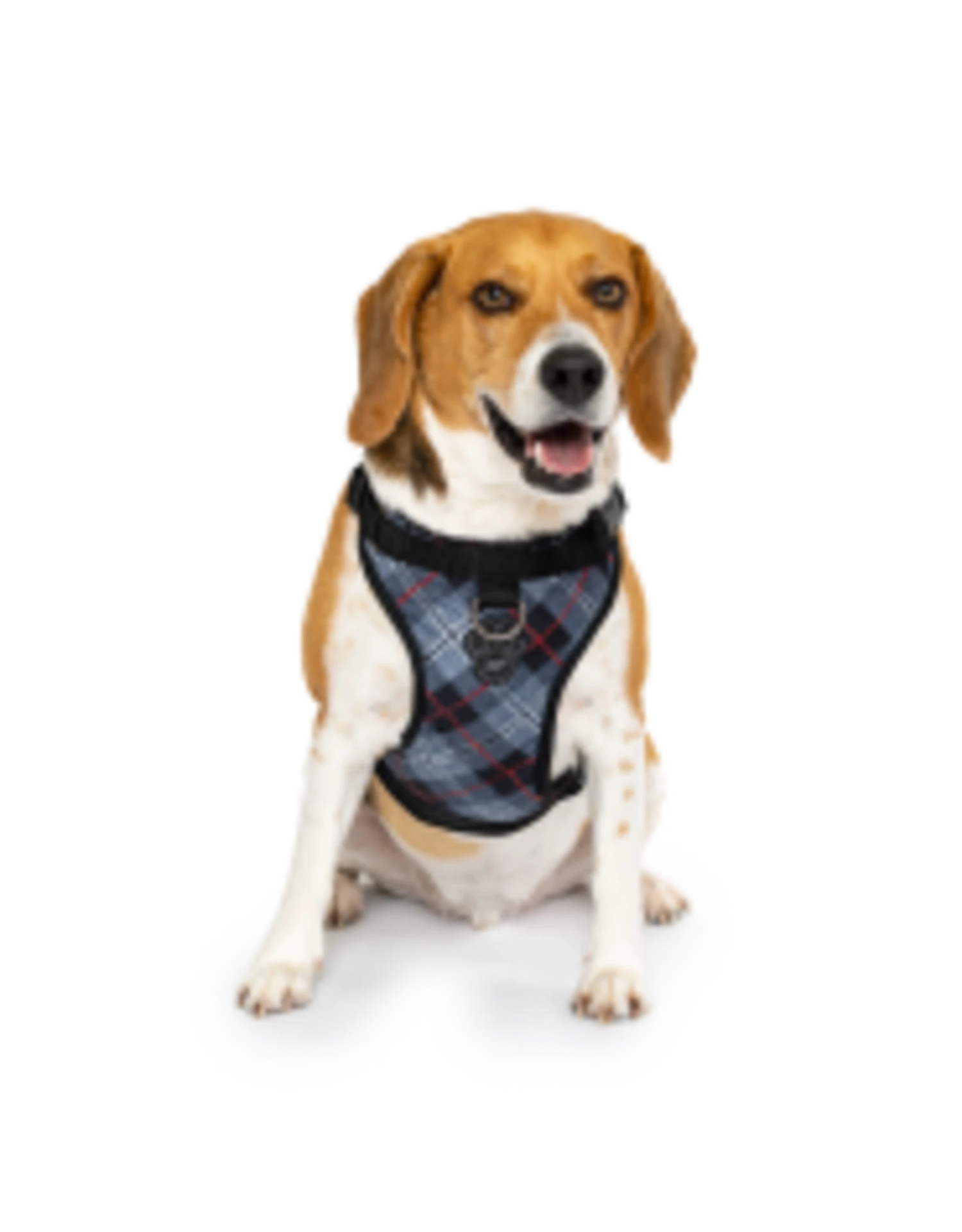 Canada Pooch Everything Harness Water-Resistant 4 Canada Pooch Everything Harness Water-Resistant - Image 2