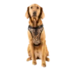 Canada Pooch Everything Harness Water-Resistant -Quality Pet Supply Store canada pooch everything harness water resistant