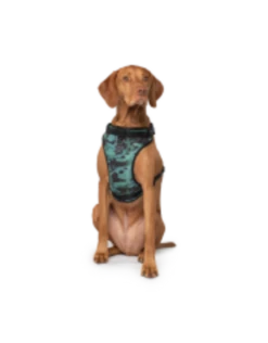 Canada Pooch Everything Harness Water-Resistant 10 Canada Pooch Everything Harness Water-Resistant -Quality Pet Supply Store canada pooch everything harness water resistant 2