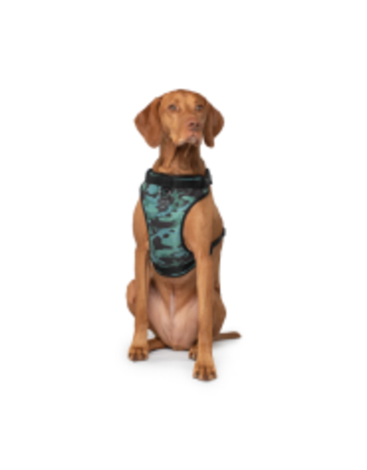 Canada Pooch Everything Harness Water-Resistant 5 Canada Pooch Everything Harness Water-Resistant - Image 3