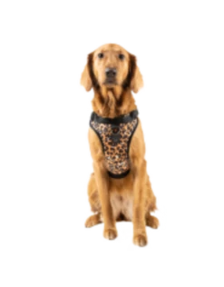 Canada Pooch Everything Harness Water-Resistant