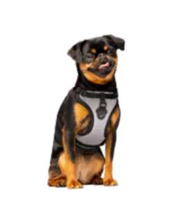 Canada Pooch Everything Harness Water-Resistant 11 Canada Pooch Everything Harness Water-Resistant -Quality Pet Supply Store canada pooch everything harness water resistant 3