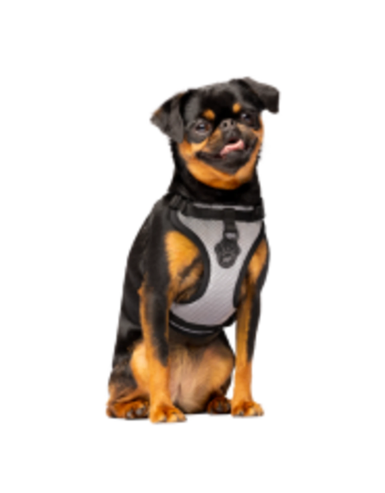 Canada Pooch Everything Harness Water-Resistant 6 Canada Pooch Everything Harness Water-Resistant - Image 4