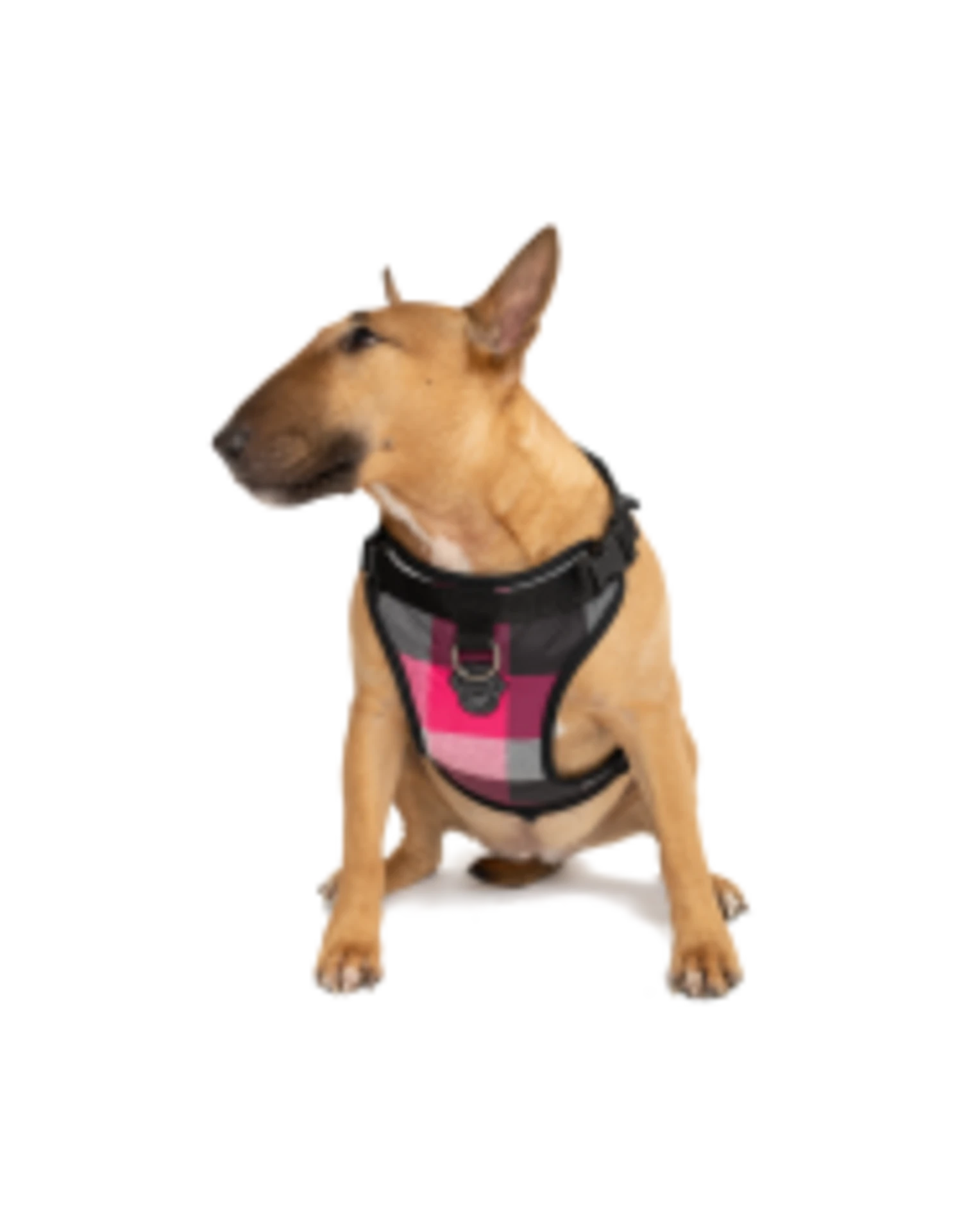 Canada Pooch Everything Harness Water-Resistant 7 Canada Pooch Everything Harness Water-Resistant - Image 5