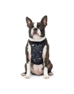 Canada Pooch Everything Harness Water-Resistant 13 Canada Pooch Everything Harness Water-Resistant -Quality Pet Supply Store canada pooch everything harness water resistant 5