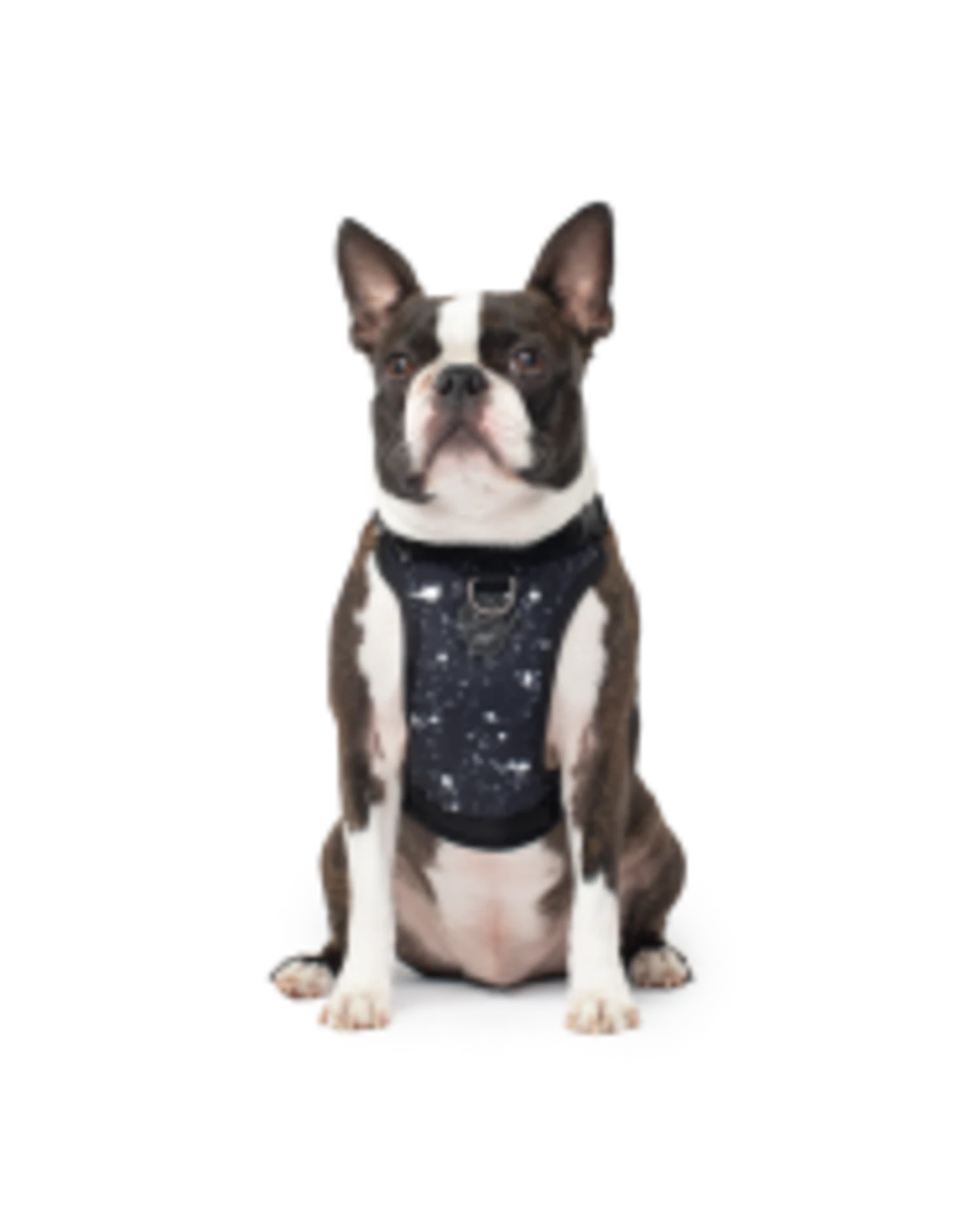 Canada Pooch Everything Harness Water-Resistant 8 Canada Pooch Everything Harness Water-Resistant - Image 6