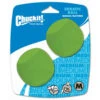 Chuck It! Erratic Ball Medium 2PK