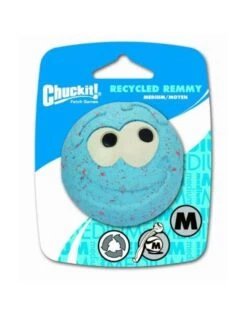 Chuck It! Remmy Ball