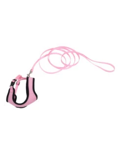 Coastal Pet Products Comfort Soft Harness & Lead 6'|Cat