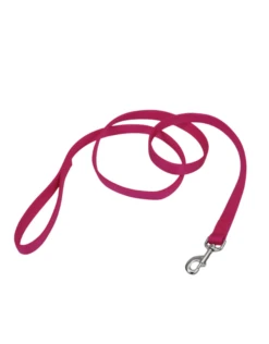 Coastal Pet Products Double-Ply Nylon Leash 6'