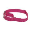 Coastal Pet Products No Slip Adjustable Martingale Collar -Quality Pet Supply Store coastal pet products no slip adjustable martingale