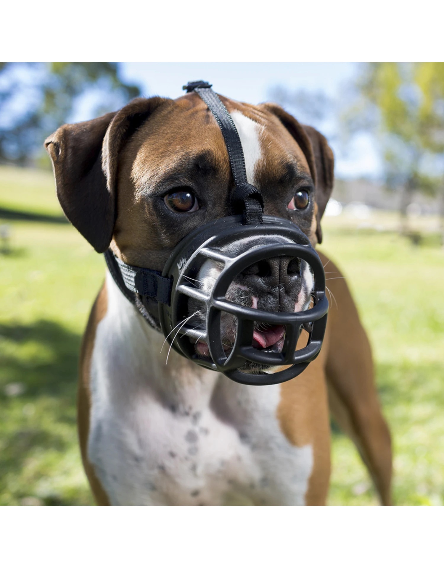 Company Of Animals Baskerville Ultra Muzzle Black 4 Company Of Animals Baskerville Ultra Muzzle Black - Image 2