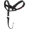 Company Of Animals Halti Nylon Head Collar Black -Quality Pet Supply Store company of animals halti nylon head collar black