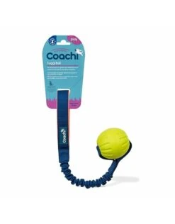 Company Of Animals Play Tuggi Ball