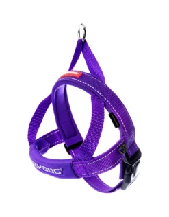 EzyDog Quick Fit Harness Purple Medium