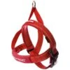 EzyDog Quick Fit Harness Red XLarge -Quality Pet Supply Store ezydog quick fit harness red xlarge