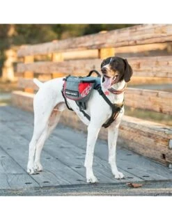 EzyDog Summit Back Pack Red & Gray 7 EzyDog Summit Back Pack Red & Gray -Quality Pet Supply Store ezydog summit back pack red gray 2