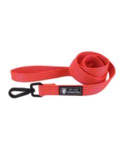 Hamilton Reflective Nylon Lead Swivel Snap -Quality Pet Supply Store hamilton reflective nylon lead swivel snap 2