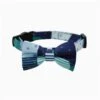 Hugsmart Bow TieCity Impressions For Cats -Quality Pet Supply Store hugsmart bow tie city impressions for cats