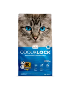 Intersand ODOURLOCK Cat Litter