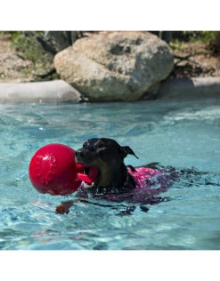 Jolly Pets Ball Tug N Toss 7 Jolly Pets Ball Tug N Toss -Quality Pet Supply Store jolly pets ball tug n toss 2