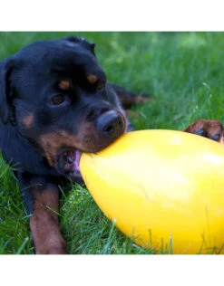 Jolly Pets Egg - Hard Plastic -Quality Pet Supply Store jolly pets egg hard plastic 2