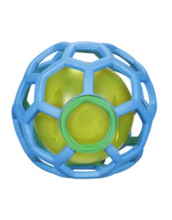 JW Pets Hol-ee Treat Ball