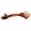 K9 Choice Frozen - Kangaroo Leg Bones 2 K9 Choice Frozen - Kangaroo Leg Bones -Quality Pet Supply Store k9 choice frozen kangaroo leg bones