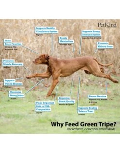 K9 Choice Frozen - Pure Green Tripe 1.36KG 5 K9 Choice Frozen - Pure Green Tripe 1.36KG -Quality Pet Supply Store k9 choice frozen pure green tripe 136kg 1