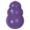 Kong Senior Purple Large -Quality Pet Supply Store kong senior purple large