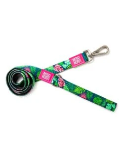 Max & Molly Original Leash -Quality Pet Supply Store max molly original leash 4