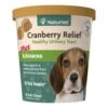 NaturVet Soft Chew Cranberry Relief+Echinacea 60CT -Quality Pet Supply Store naturvet soft chew cranberry reliefechinacea 60ct