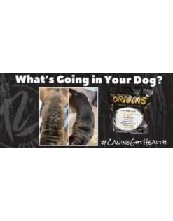Origins Rogue Pet Feed Origins Canine Supplement -Quality Pet Supply Store origins rogue pet feed origins canine supplement 2