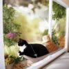 Oster - Sunbeam Sunny Seat Window Mounted Bed / Cat -Quality Pet Supply Store oster sunbeam sunny seat window mounted bed cat