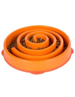 Outward Hound Fun Feeder -Quality Pet Supply Store outward hound fun feeder 2
