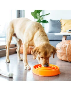 Outward Hound Fun Feeder -Quality Pet Supply Store outward hound fun feeder 3