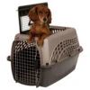 Petmate 2 Door Top Load Kennel 2 Petmate 2 Door Top Load Kennel -Quality Pet Supply Store petmate 2 door top load kennel