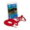 PetSafe Come With Me Kitty Harness & Bungee Leash 1 PetSafe Come With Me Kitty Harness & Bungee Leash -Quality Pet Supply Store petsafe come with me kitty harness bungee leash