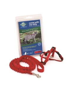 PetSafe Come With Me Kitty Harness & Bungee Leash 11 PetSafe Come With Me Kitty Harness & Bungee Leash -Quality Pet Supply Store petsafe come with me kitty harness bungee leash 3